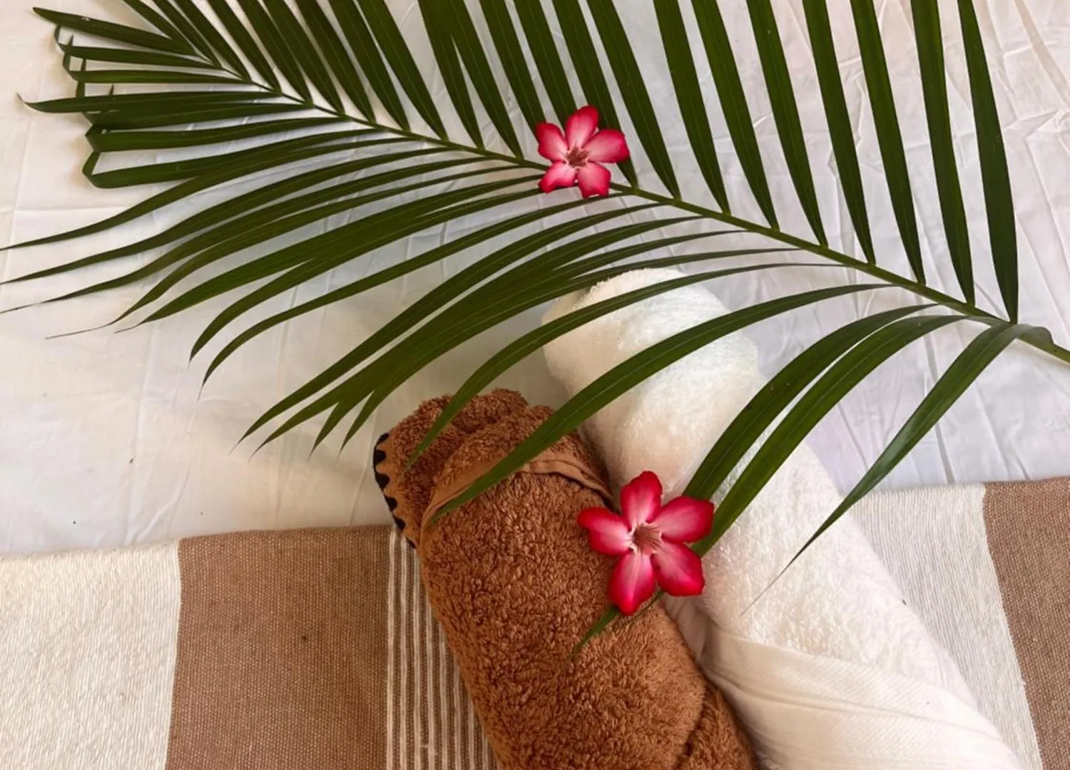 Villa L'Ecrin Du Colibri, A Haven Of Peace In Martinique Le Robert